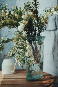 Close-up of potted plant on table