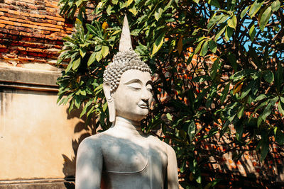 Statue of buddha against plants