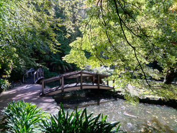 Bridge over river in forest