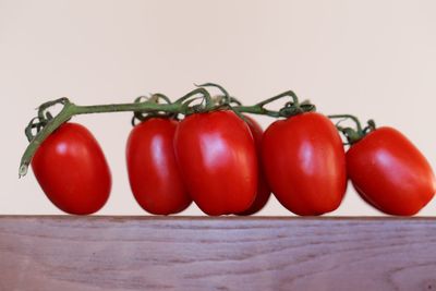 Close-up of tomatoes on table against white background