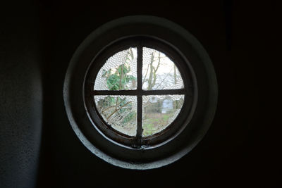 View of trees seen through window