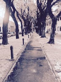 Empty road along trees