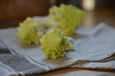 Close-up of green leaf on table