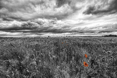 Scenic view of field against cloudy sky