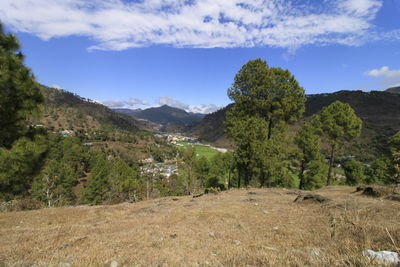 Scenic view of trees on field against sky