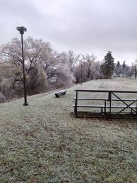 Street light on field by trees against sky