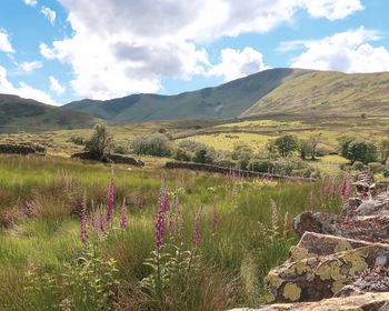 Scenic view of land and mountains against sky