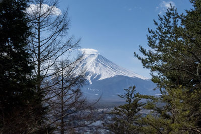 Low angle view of snowcapped mountains against sky