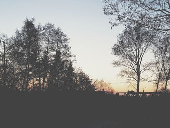 Silhouette trees on field against sky at sunset