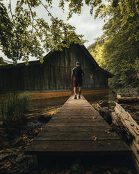 Rear view of man walking amidst trees against sky