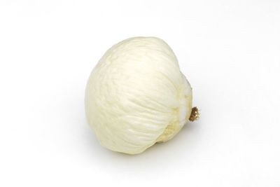 High angle view of bread against white background