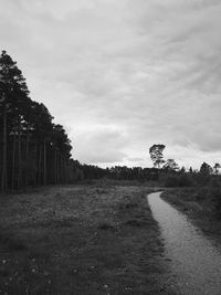 Road by trees on field against sky