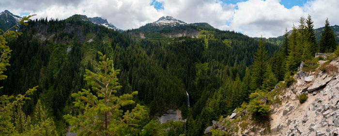 Panoramic view of pine trees and mountains against sky