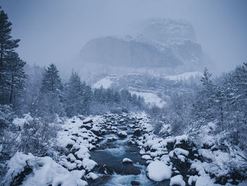 Snow covered land and trees against sky