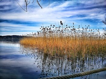 Scenic view of lake against sky