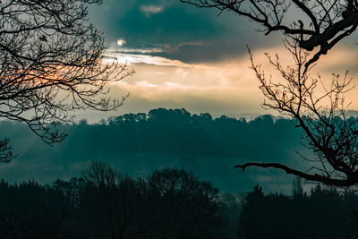 Silhouette bare trees in forest against sky