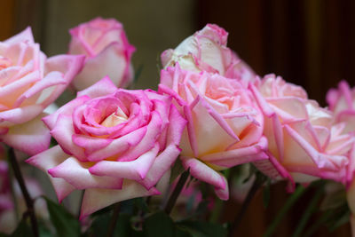 Close-up of pink rose bouquet