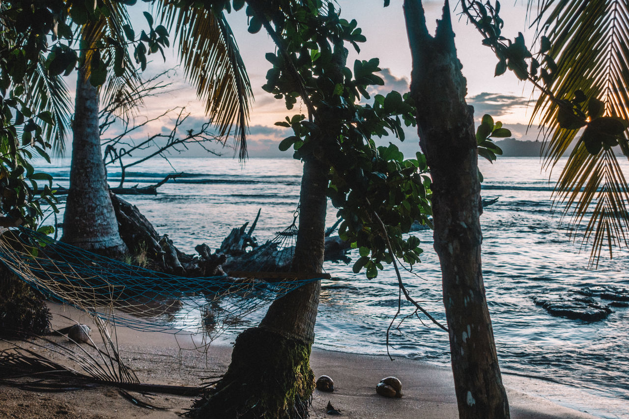 SCENIC VIEW OF SEA AGAINST TREES