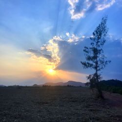 Scenic view of field against sky during sunset