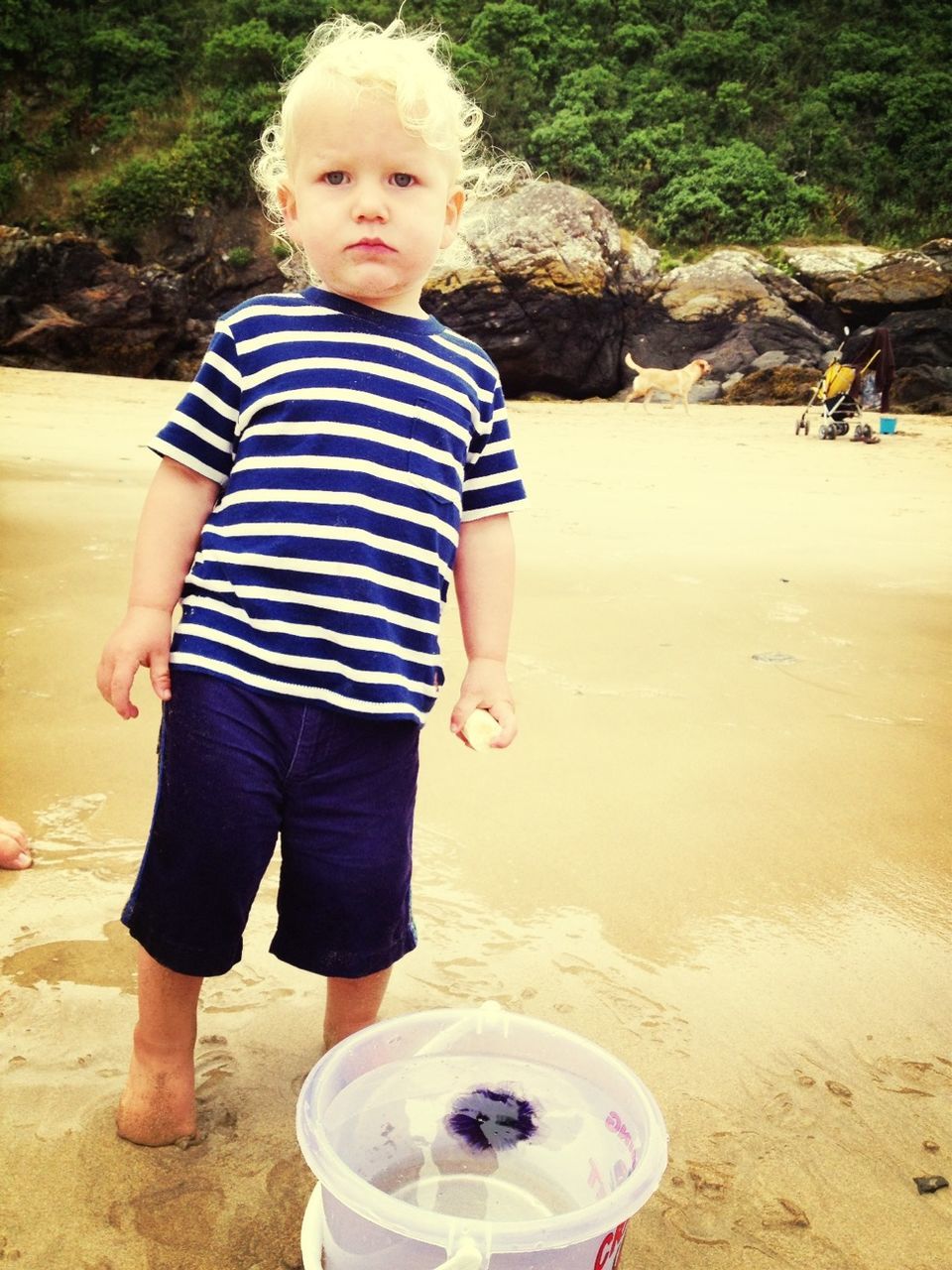 childhood, elementary age, casual clothing, boys, full length, lifestyles, person, leisure activity, innocence, girls, sand, cute, beach, standing, playing, playful, holding, day