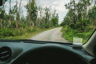 Road amidst trees against sky seen through car windshield