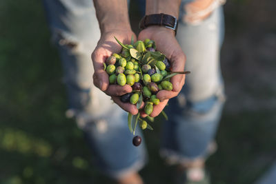 Midsection of man holding fruit on field