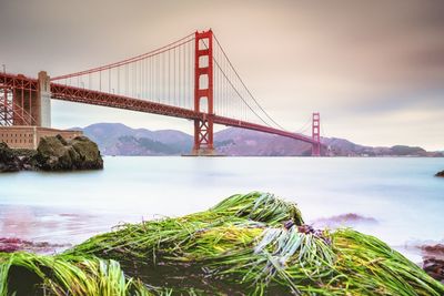 View of bridge over river