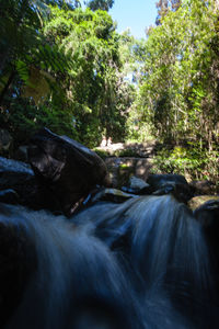Scenic view of waterfall in forest
