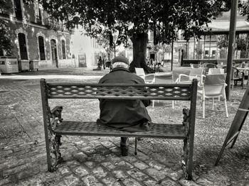 Rear view of man sitting on bench