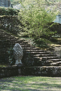 View of statue amidst trees