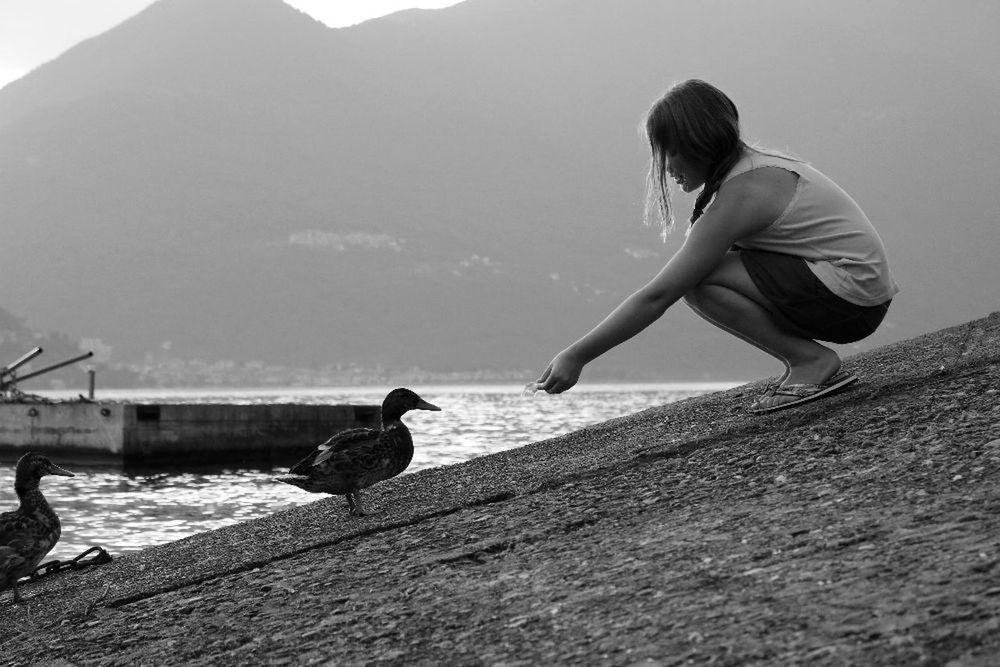 animal themes, bird, one animal, animals in the wild, real people, day, one person, full length, outdoors, side view, nature, water, domestic animals, childhood, mountain, pets, young women, young adult, mammal, people