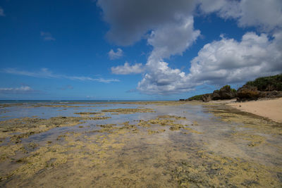 Scenic view of beach against sky