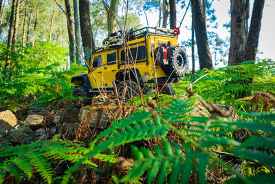 Yellow cart amidst trees in forest