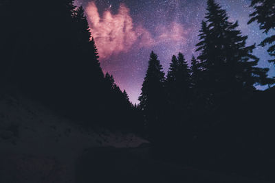 Low angle view of silhouette trees against sky at night