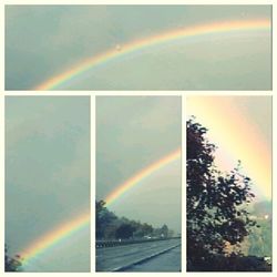 rainbow