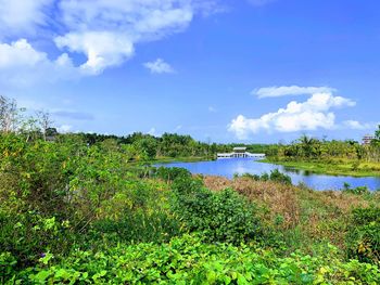 Scenic view of lake against sky