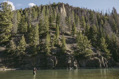 Side view of man fishing in river by mountain at forest