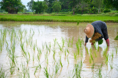 Side view of man standing by lake