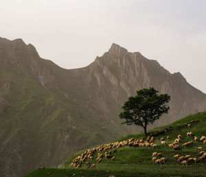 Scenic view of mountain range against sky