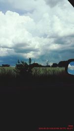 Trees on field against cloudy sky