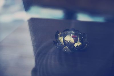 Close up of plant against blurred background