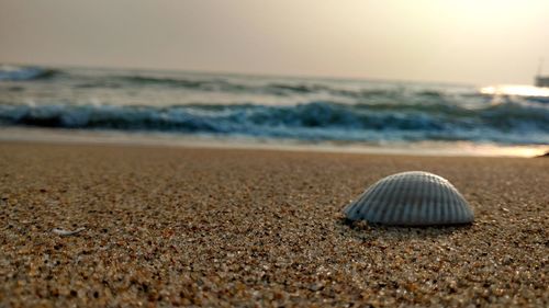 Close-up of sand on beach against sky