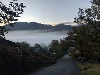 Road amidst trees against sky