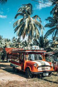 Coconut palm trees in city against sky