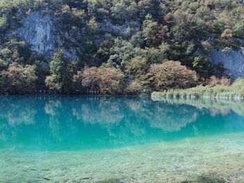 Scenic view of calm lake