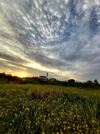 Scenic view of field against cloudy sky