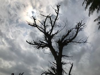 Low angle view of bare tree against sky