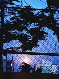 Low angle view of silhouette trees against sky at sunset