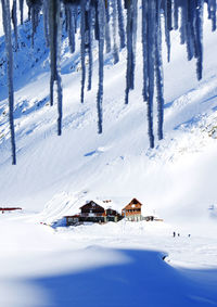 Scenic view of snow covered landscape