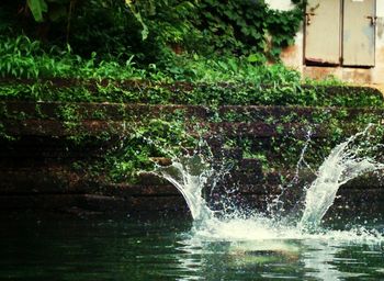 Scenic view of waterfall